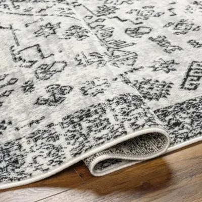 Pisa PSS-2366 7'10" x 10' Machine Woven Rug