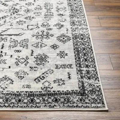 Pisa PSS-2366 7'10" x 10' Machine Woven Rug