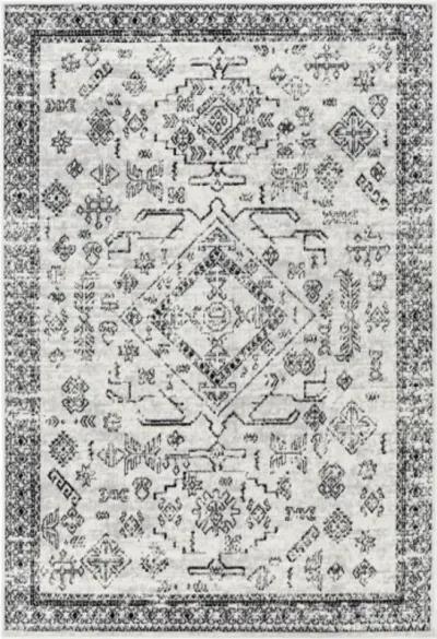 Pisa PSS-2366 7'10" x 10' Machine Woven Rug