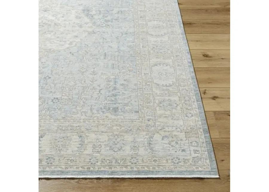 Once Upon a Time OAT-2300 2'11" x 9'10" Machine Woven Rug