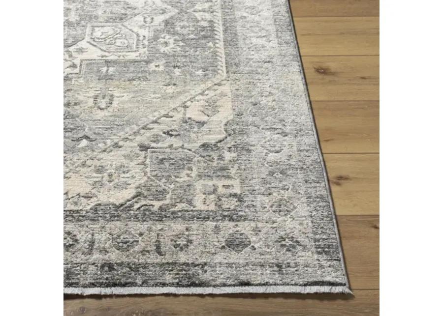 Chicago CHG-2316 2'10" x 12' Machine Woven Rug