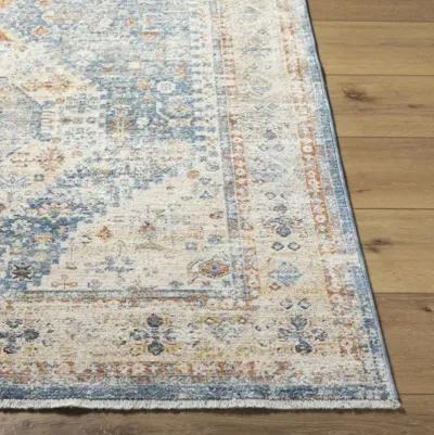 Chicago CHG-2309 8'10" x 12'8" Machine Woven Rug