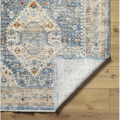 Chicago CHG-2309 8'10" x 12'8" Machine Woven Rug