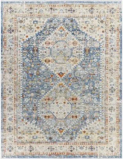 Chicago CHG-2309 8'10" x 12'8" Machine Woven Rug