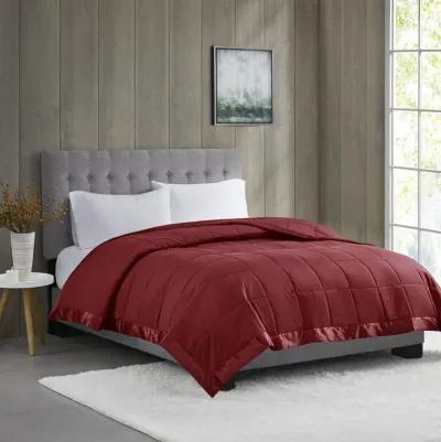 Madison Park Windom Burgundy Lightweight Down Alternative Blanket with Satin Trim