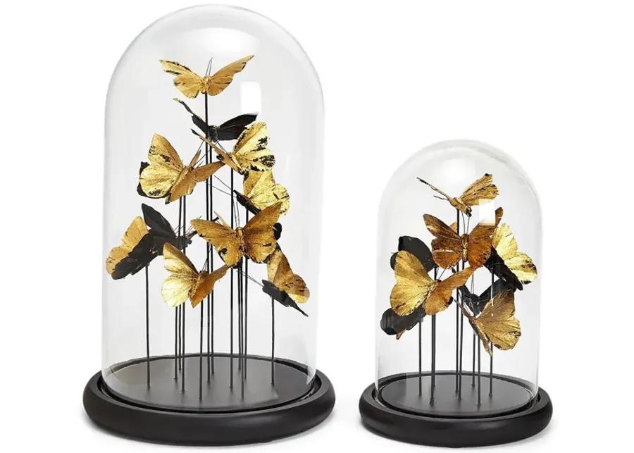 S/2 Golden Butterflies in Dome