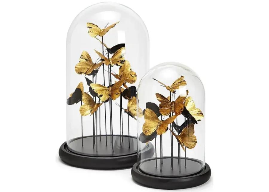 S/2 Golden Butterflies in Dome