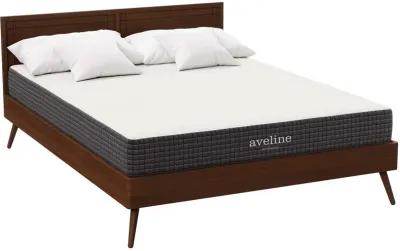 Aveline 8" Queen Mattress