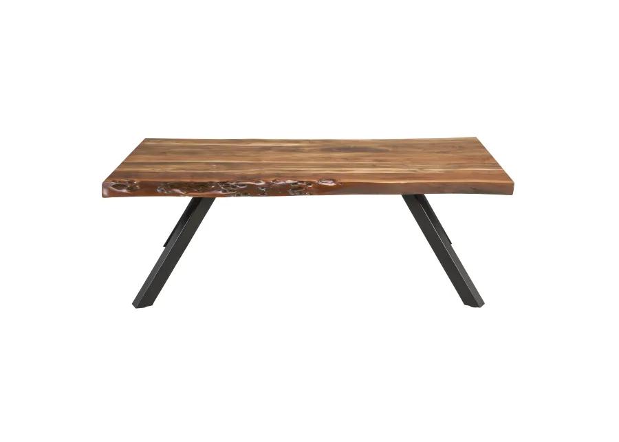 Reese Live Edge Solid Wood Metal Leg Coffee Table in Natural Acacia