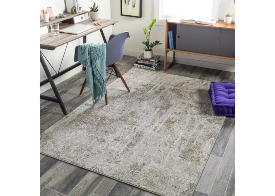 Carmel 2'7" x 4' Rug