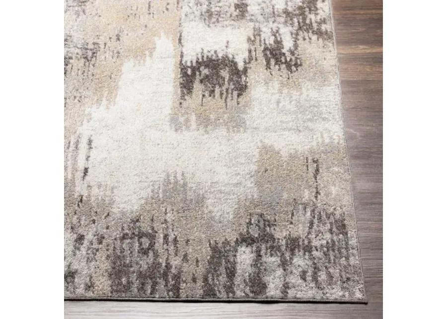 Lavadora 2'7" x 7'3" Rug