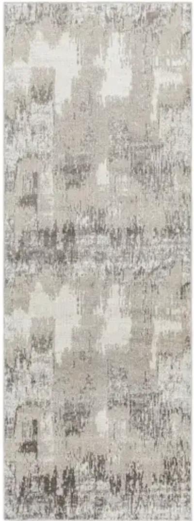 Lavadora 2'7" x 7'3" Rug