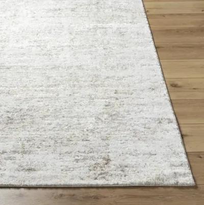 Andorra Plus ARP-2305 2' x 2'11" Machine Woven Rug