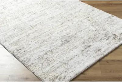 Andorra Plus ARP-2305 2' x 2'11" Machine Woven Rug