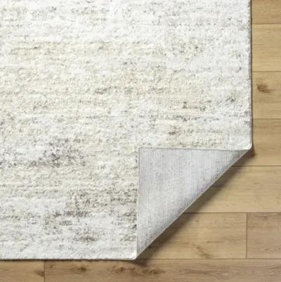 Andorra Plus ARP-2305 2' x 2'11" Machine Woven Rug