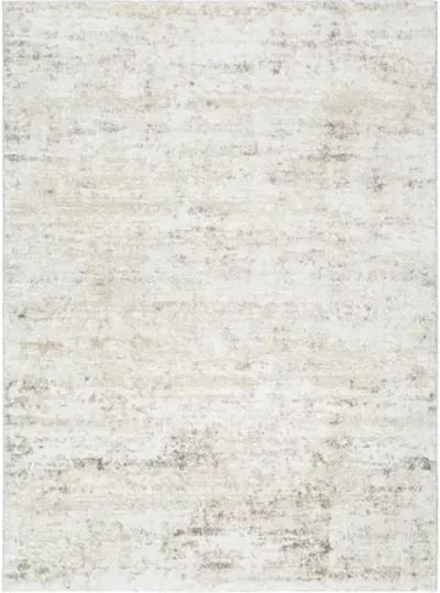 Andorra Plus ARP-2305 2' x 2'11" Machine Woven Rug