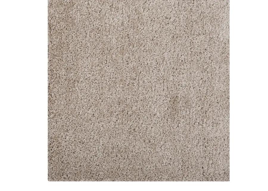 Enyssa Solid 5x8 Shag Area Rug