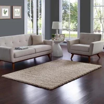 Enyssa Solid 5x8 Shag Area Rug