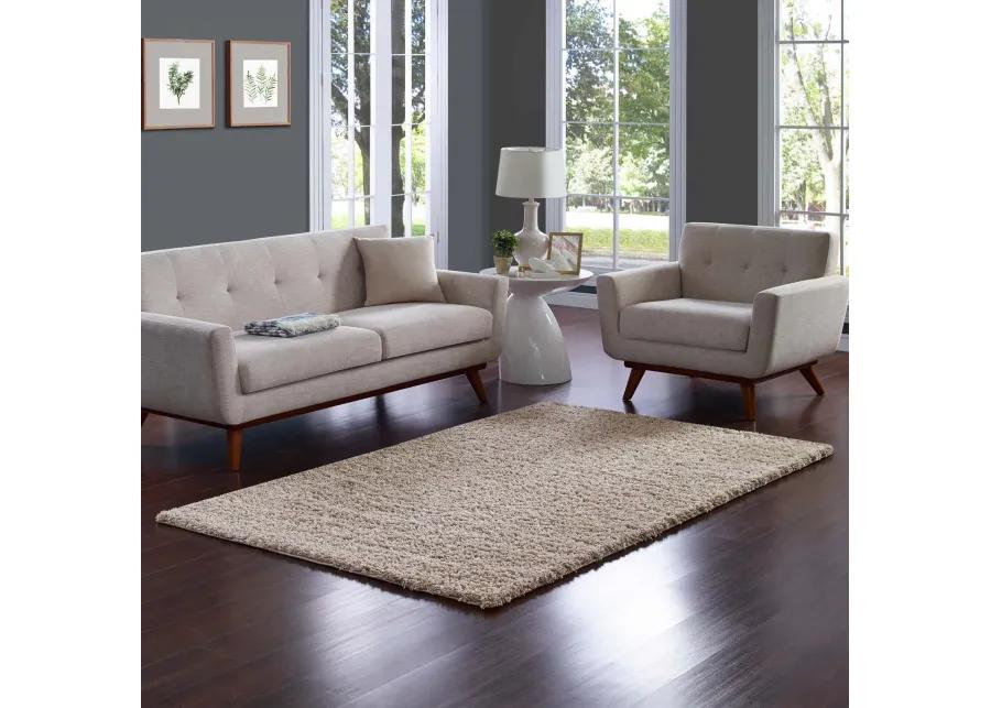 Enyssa Solid 5x8 Shag Area Rug