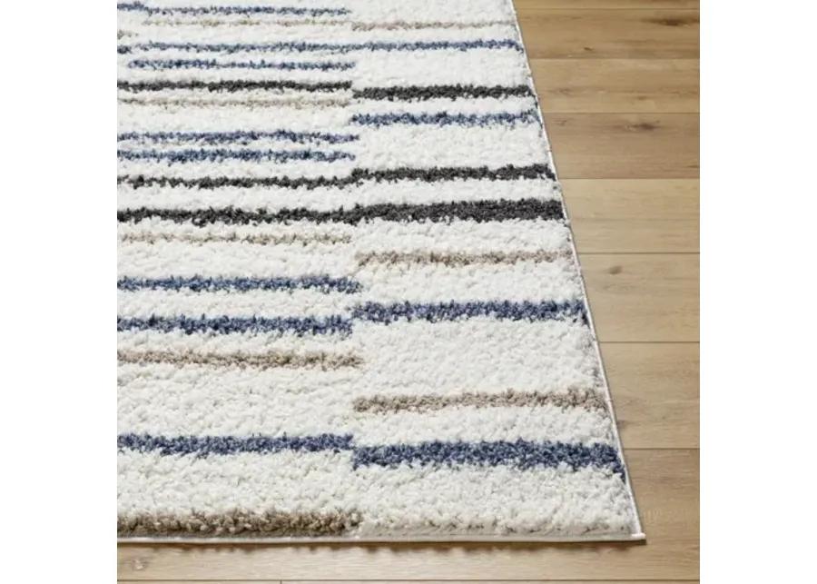 Birmingham BMM-2306 6'7" x 9' Machine Woven Rug