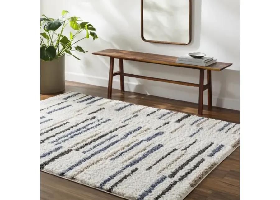 Birmingham BMM-2306 6'7" x 9' Machine Woven Rug