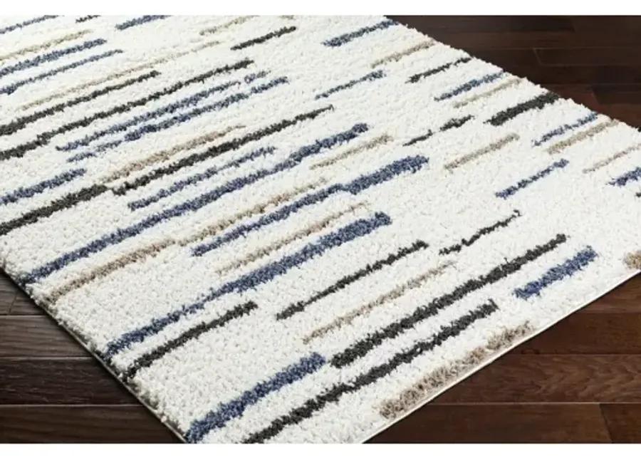 Birmingham BMM-2306 6'7" x 9' Machine Woven Rug