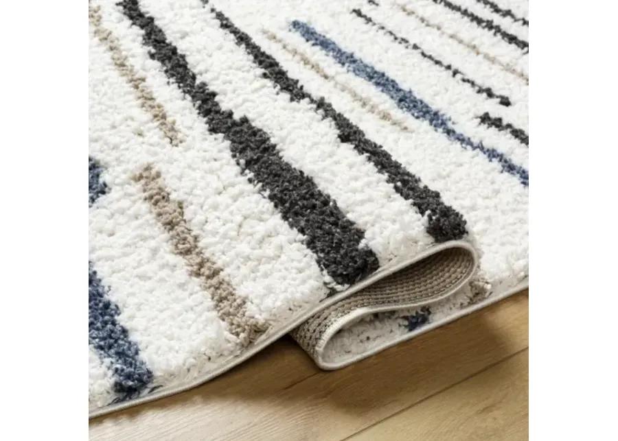 Birmingham BMM-2306 6'7" x 9' Machine Woven Rug