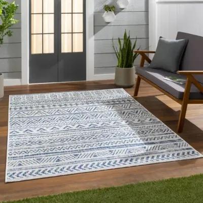 Eagean 8'10" x 12' Rug