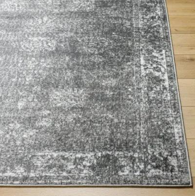 Monte Carlo MNC-2346 7'10" x 10'2" Machine Woven Rug