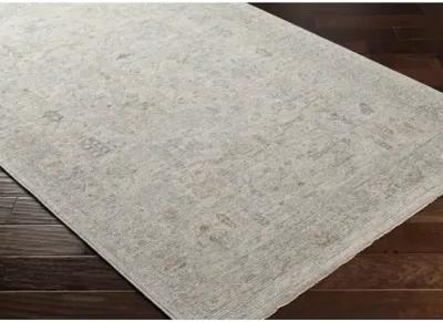 Avant Garde AVT-2348 2'7" x 3'11" Machine Woven Rug