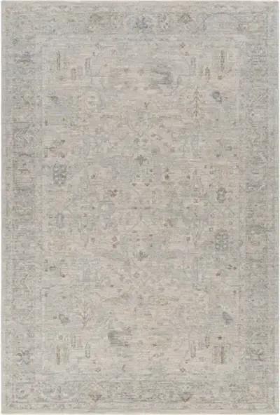 Avant Garde AVT-2348 2'7" x 3'11" Machine Woven Rug