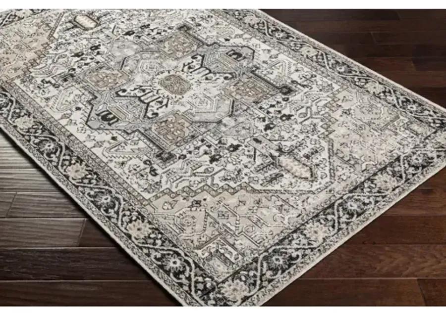 Lavadora 9'3" x 12' Rug