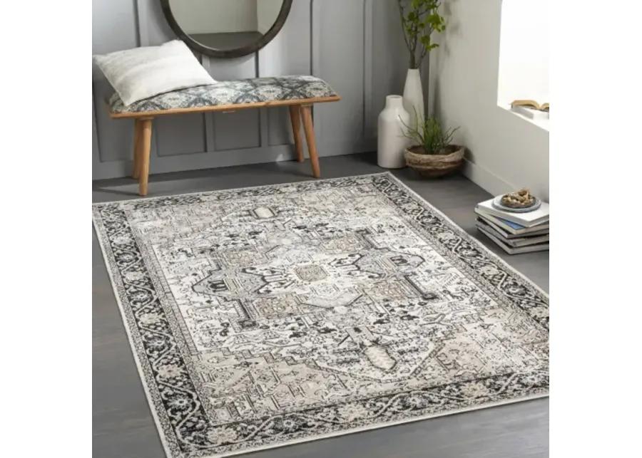 Lavadora 9'3" x 12' Rug