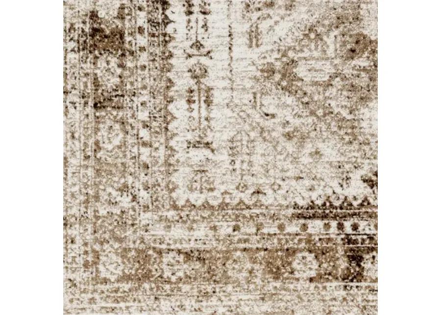 Monte Carlo MNC-2342 8'10" x 12' Machine Woven Rug