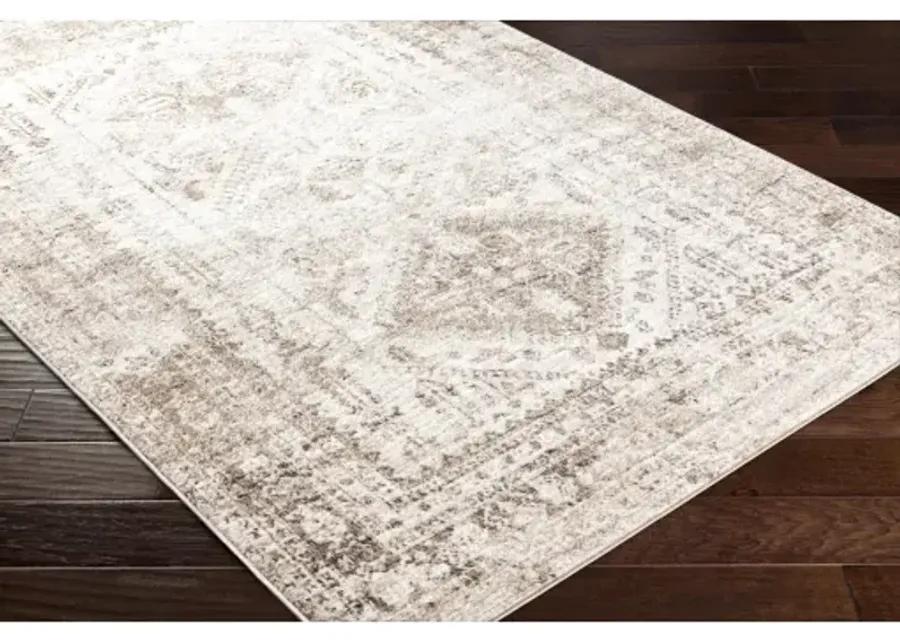 Monte Carlo MNC-2342 8'10" x 12' Machine Woven Rug