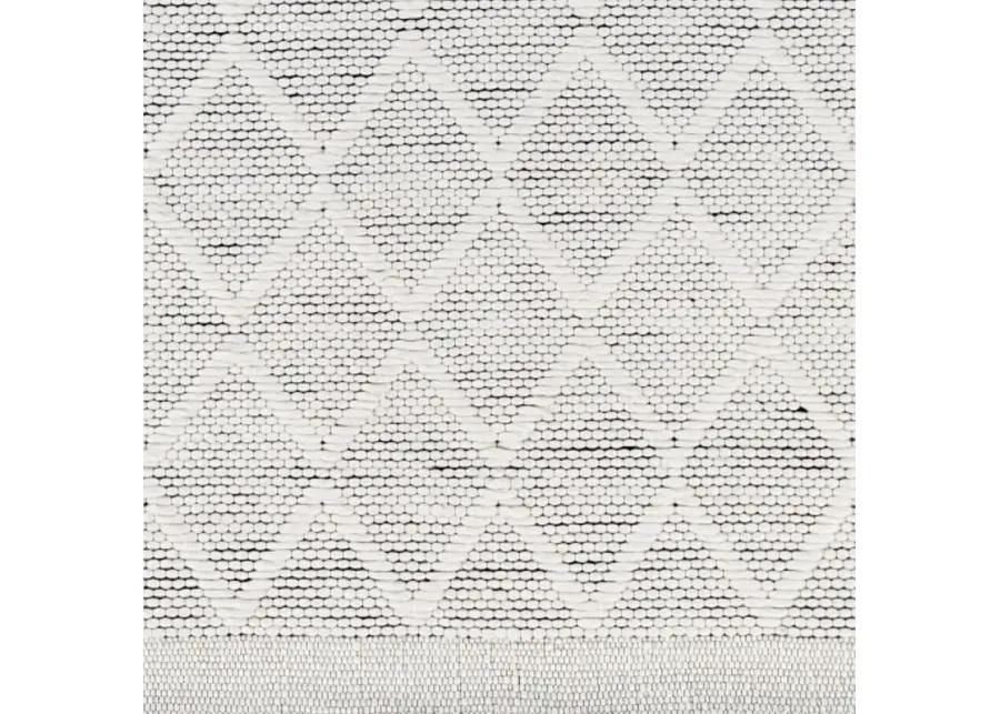 Napoli NPO-2316 2' x 3' Hand Made Rug