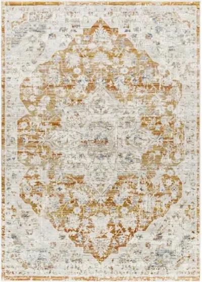 Edmonton EDO-2304 5'3" x 7' Machine Woven Rug