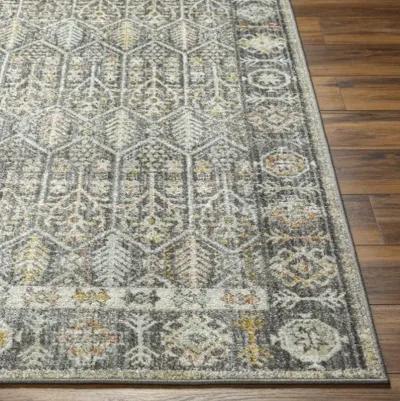 Bitlis BSI-2304 9'2" x 12' Machine Woven Rug