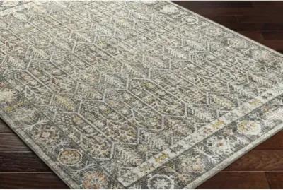 Bitlis BSI-2304 9'2" x 12' Machine Woven Rug