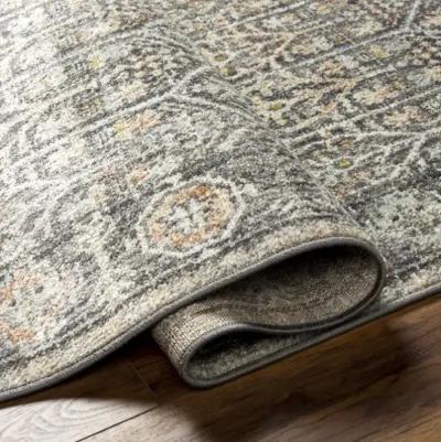 Bitlis BSI-2304 9'2" x 12' Machine Woven Rug