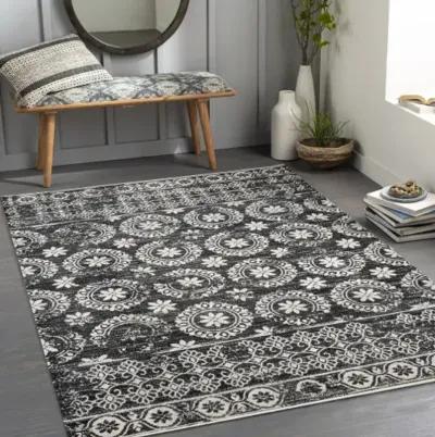 Lavadora LVR-2325 2'7" x 7'3" Rug