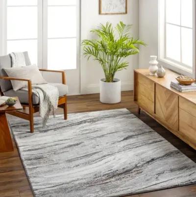 Allegro Plus AGP-2307 6'7" x 9' Machine Woven Rug