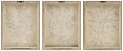 Madison Park Linen Botanicals Multi Illustration 3-piece Canvas Wall Art Set