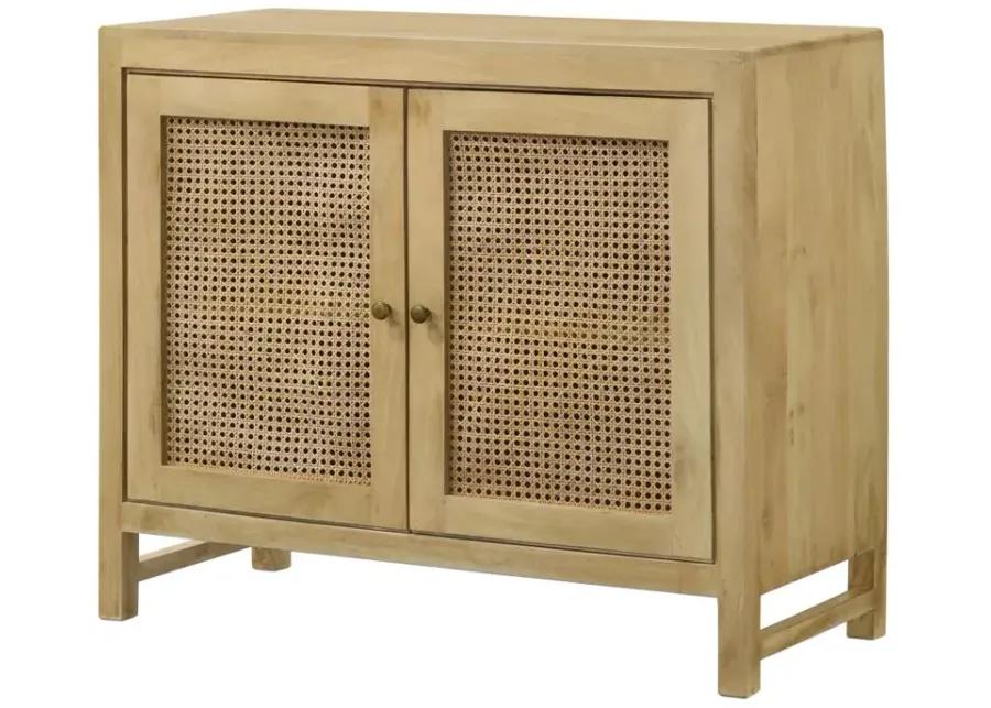 Zamora 2-Door Accent Cabinet