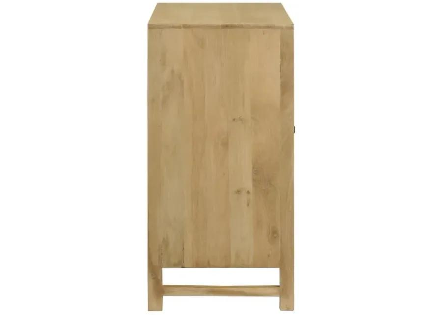 Zamora 2-Door Accent Cabinet