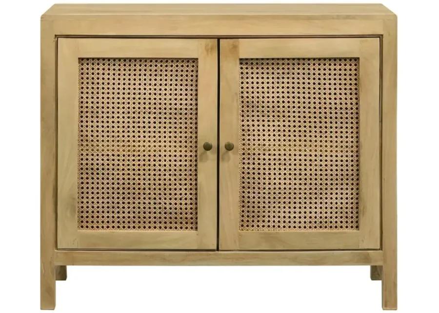 Zamora 2-Door Accent Cabinet