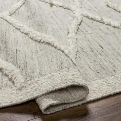 Tripoli TRP-2300 2' x 3' Handmade Rug