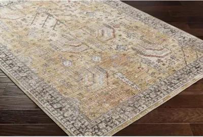 Carlisle CSI-2316 2'11" x 10' Machine Woven Rug