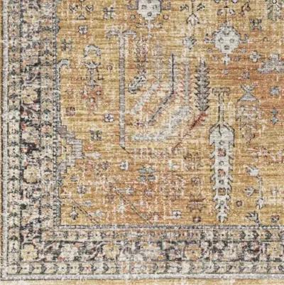 Carlisle CSI-2316 2'11" x 10' Machine Woven Rug