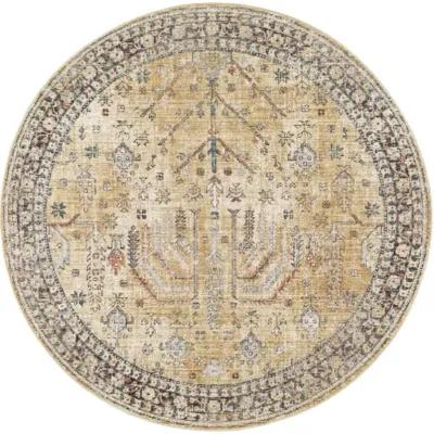 Carlisle CSI-2316 2'11" x 10' Machine Woven Rug